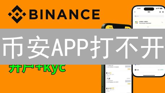 币安APP打不开？三大争议解决策略，助你重燃交易激情（目标+争议+隐喻）