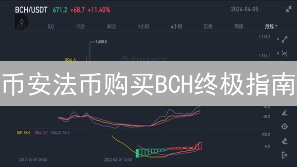 币安法币购买BCH终极指南：新手也能轻松学会！