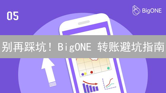 别再踩坑！BigONE 转账避坑指南：学会这几招，告别资产损失！