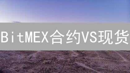 BitMEX合约VS现货：高杠杆博弈，还是稳健长期持有？速看！