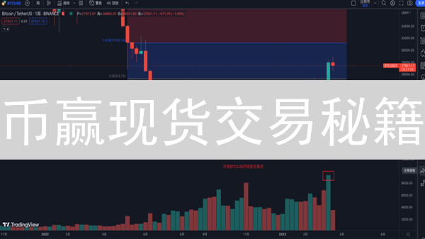币赢现货交易秘籍：小白也能Hold住的加密货币投资？