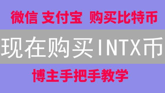 现在购买INTX币？超详细购买指南与风险提示