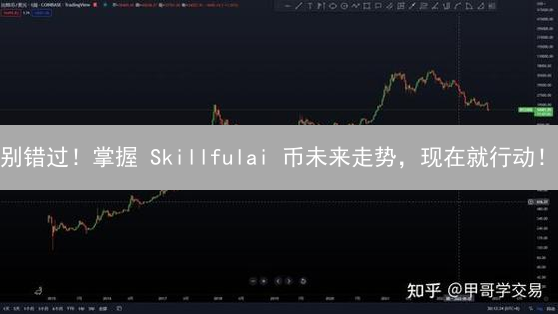 别错过！掌握 Skillfulai 币未来走势，现在就行动！